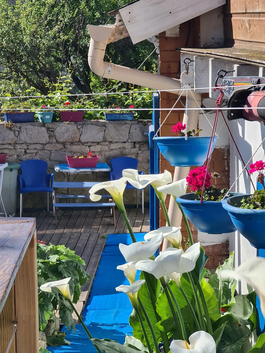 Jardin fleuri au printemps à La Chaloupe